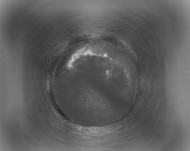 X0000064720026200602241657