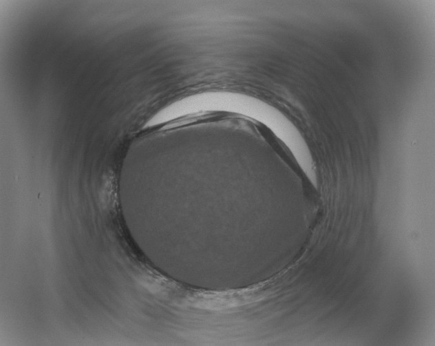X0000064720029200602241657