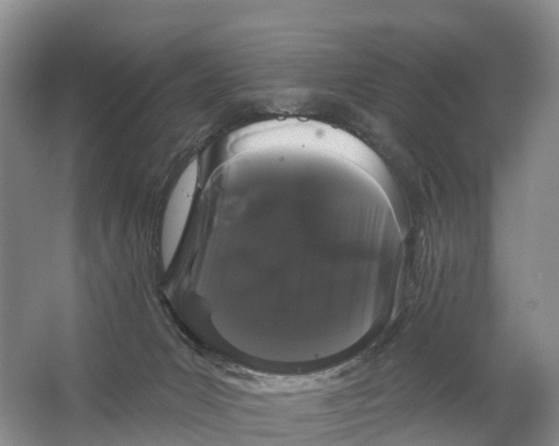 X0000064720031200602241657