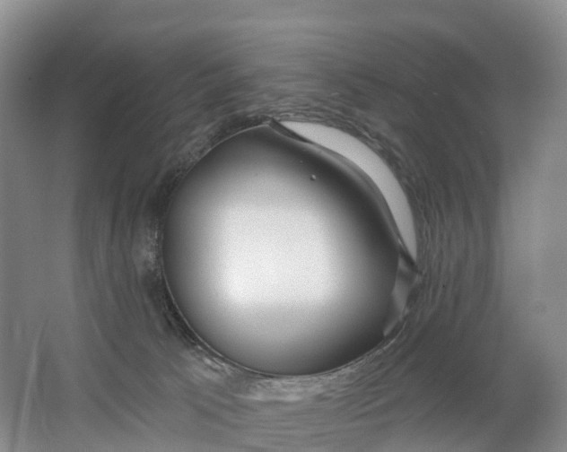 X0000064720033200602241656