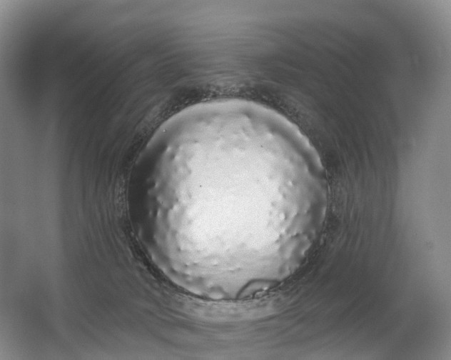X0000064720034200602241656