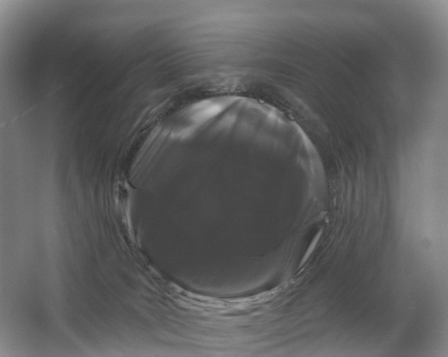 X0000064720035200602241656