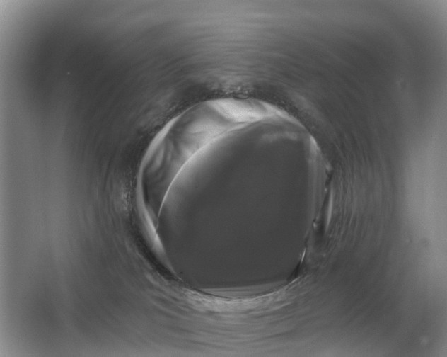 X0000064720039200602241656
