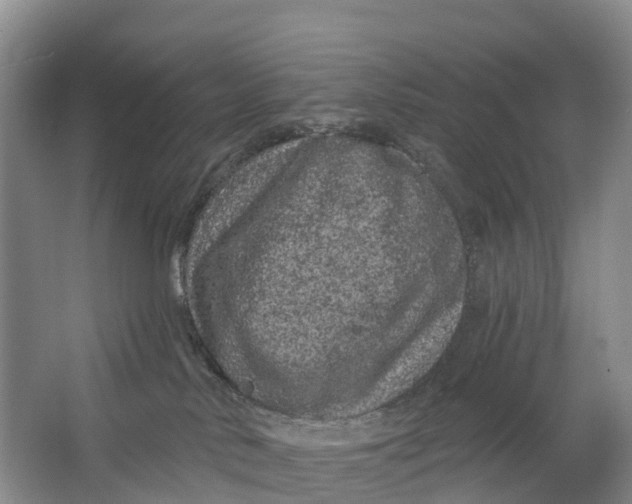 X0000064720042200602241656