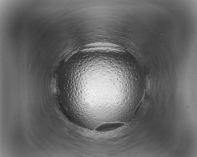 X0000064720043200602241656