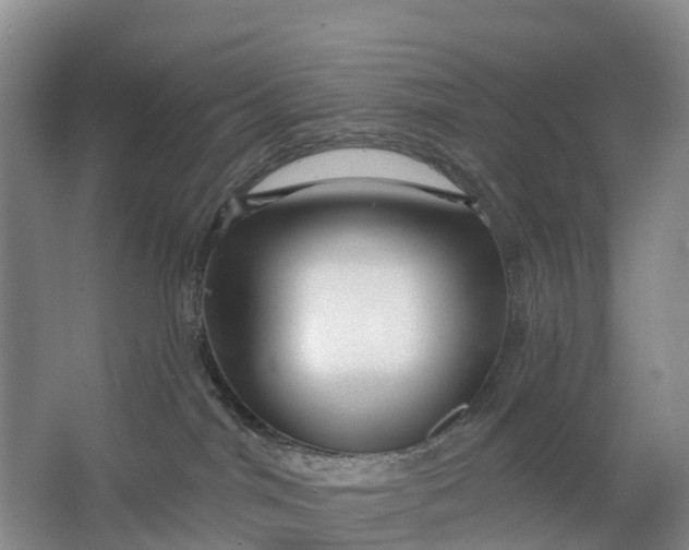 X0000064720044200602241656