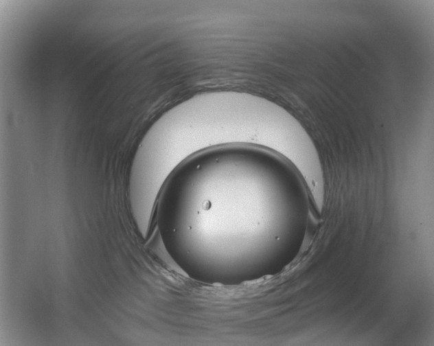 X0000064720045200602241656