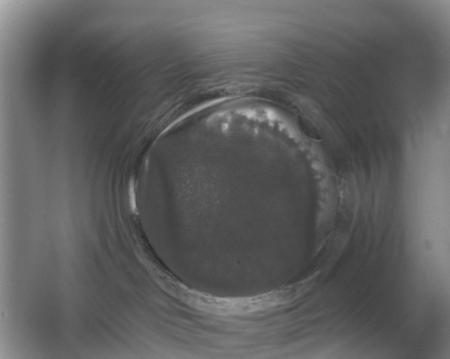 X0000064720046200602241656