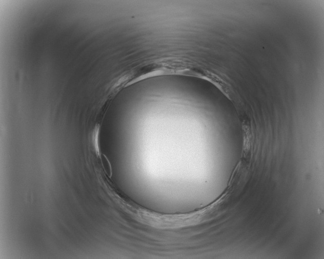 X0000064720047200602241656