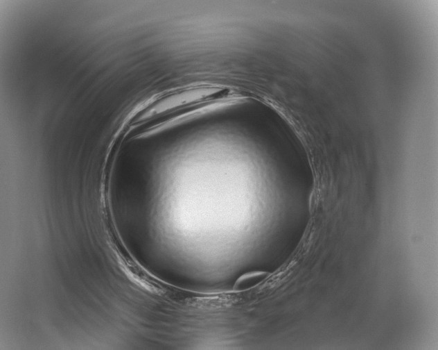 X0000064720050200602241655