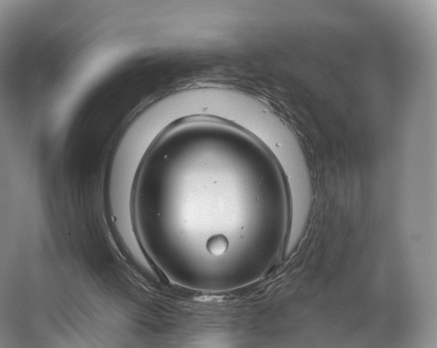 X0000064720052200602241655