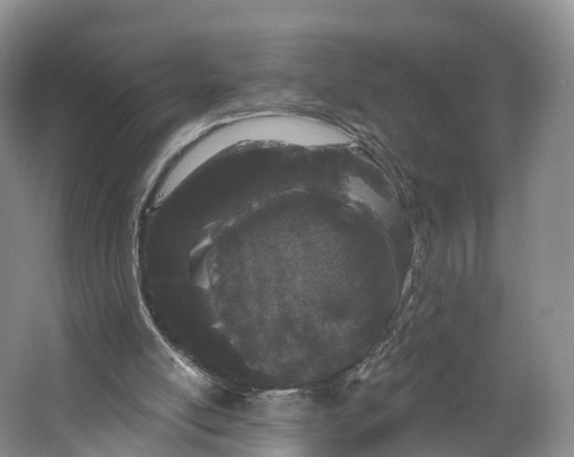 X0000064720054200602241655