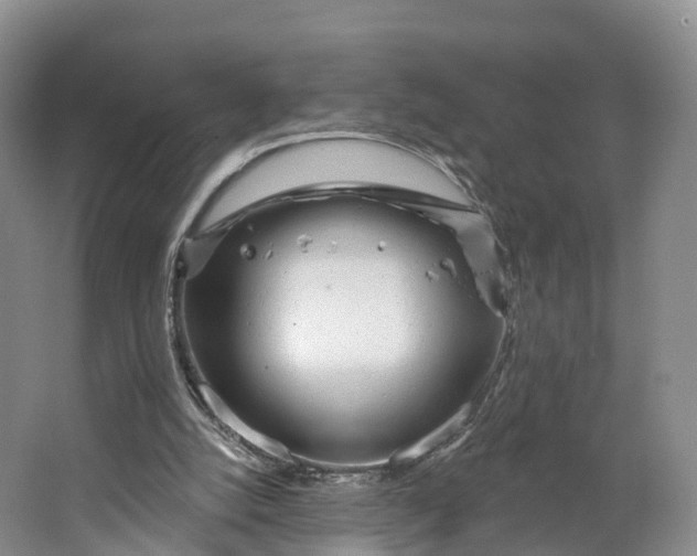 X0000064720056200602241655