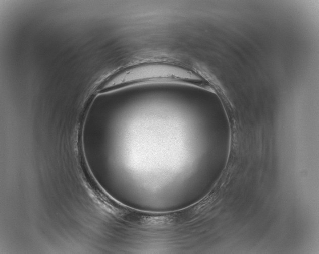 X0000064720058200602241655