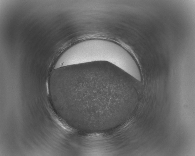 X0000064720061200602241655