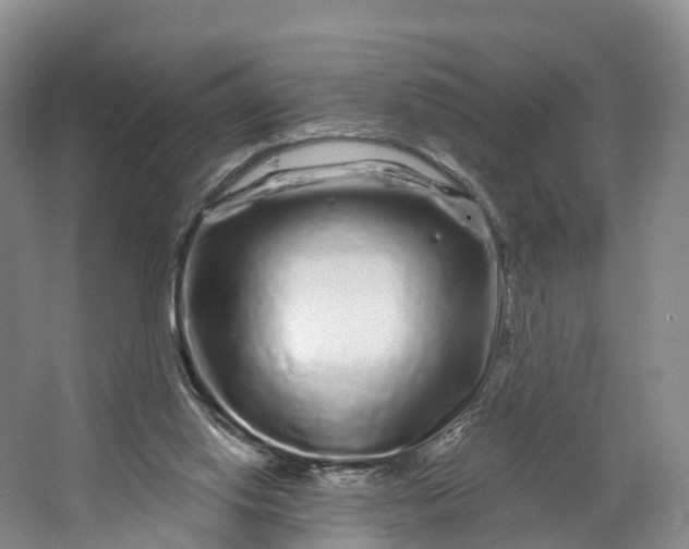 X0000064720062200602241655