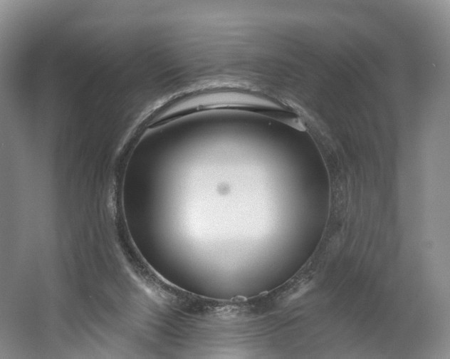 X0000064720064200602241655