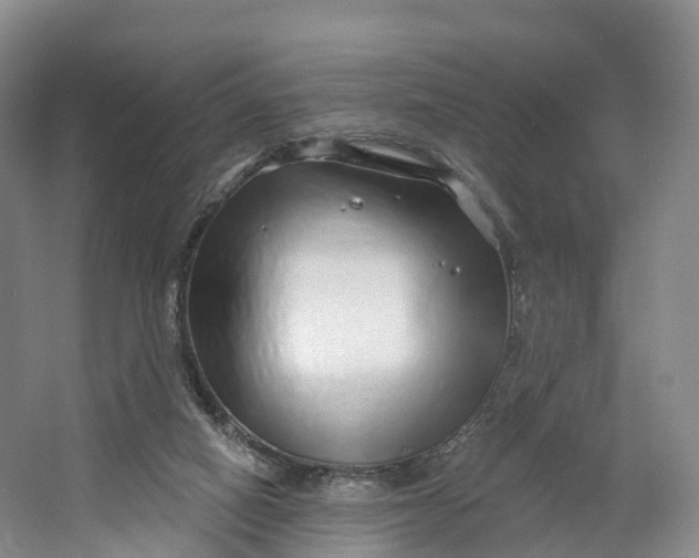 X0000064720066200602241655