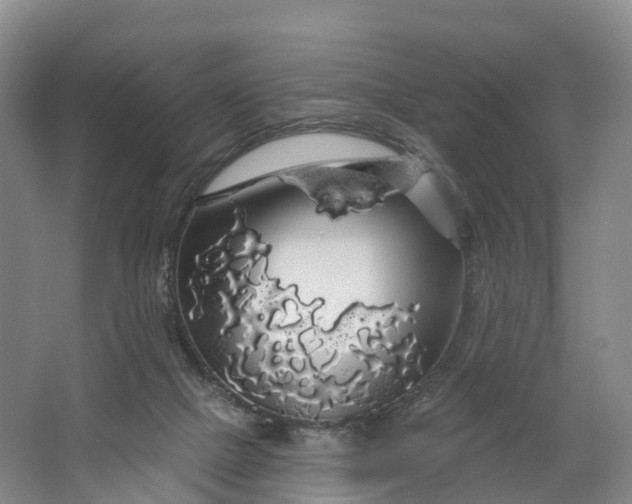 X0000064720073200602241655