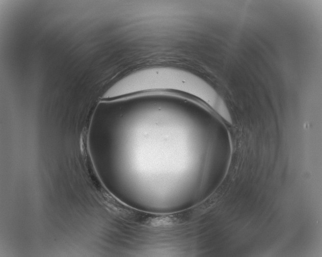X0000064720075200602241656