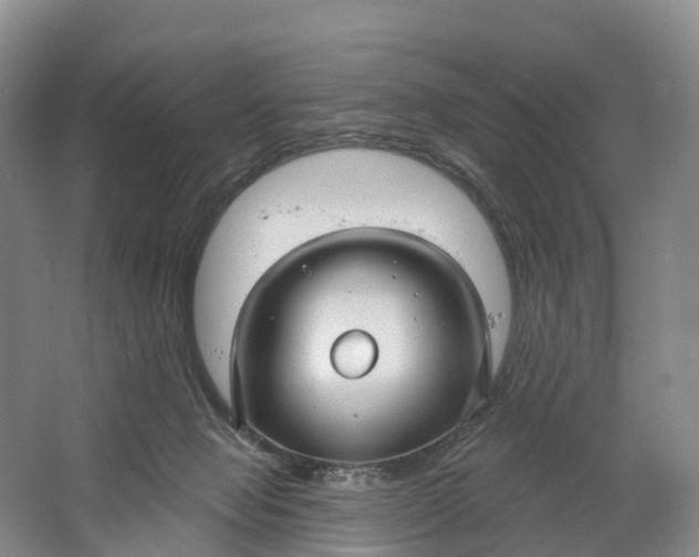 X0000064720077200602241656