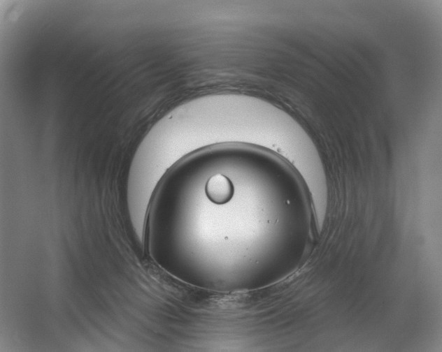 X0000064720078200602241656