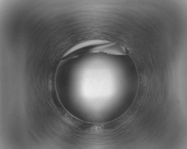 X0000064720080200602241656