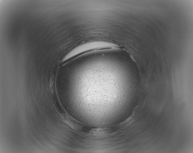 X0000064720082200602241656