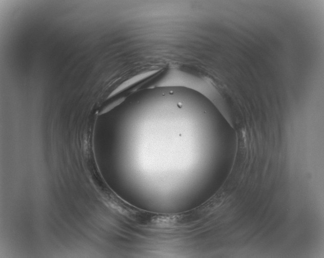 X0000064720084200602241656