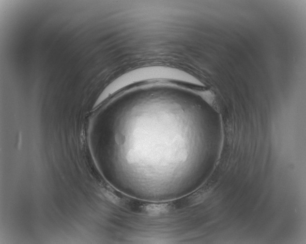 X0000064720085200602241656