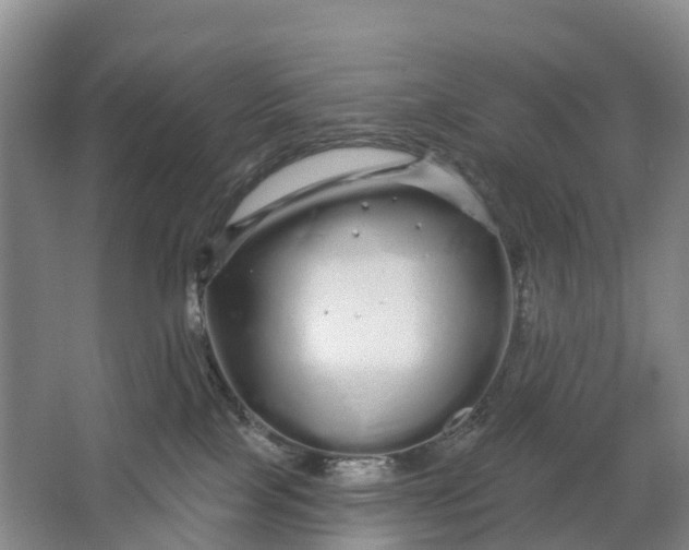 X0000064720089200602241656