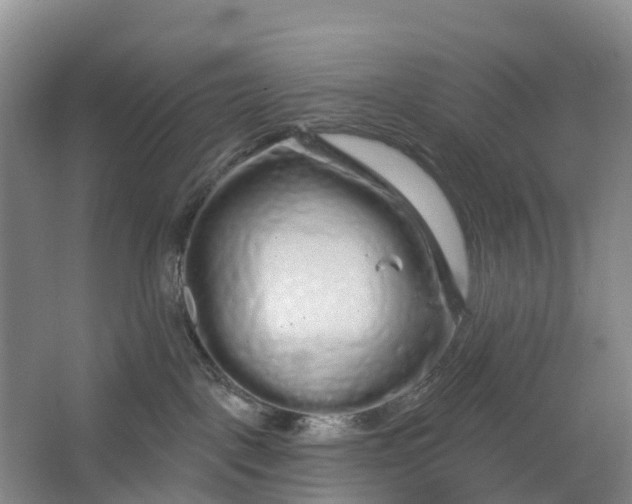X0000064720093200602241656