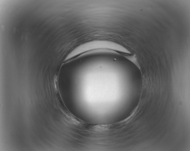 X0000064720094200602241656