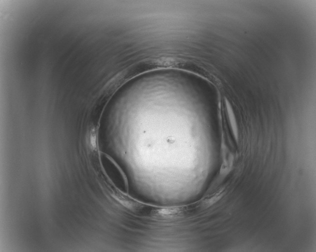 X0000064720095200602241656