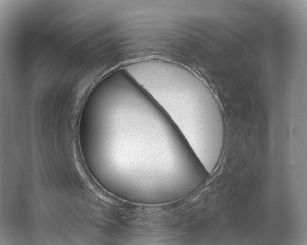 X0000064720097200602241655