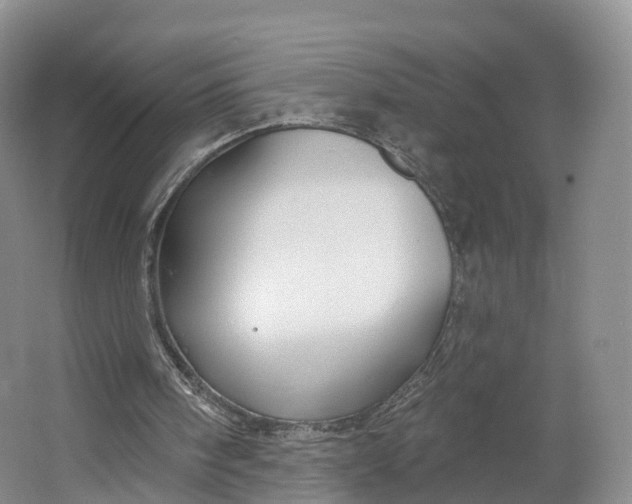 X0000064720098200602241655