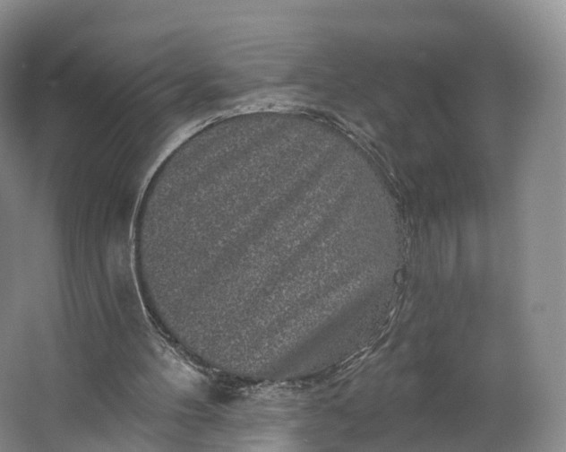 X0000064720100200602241655