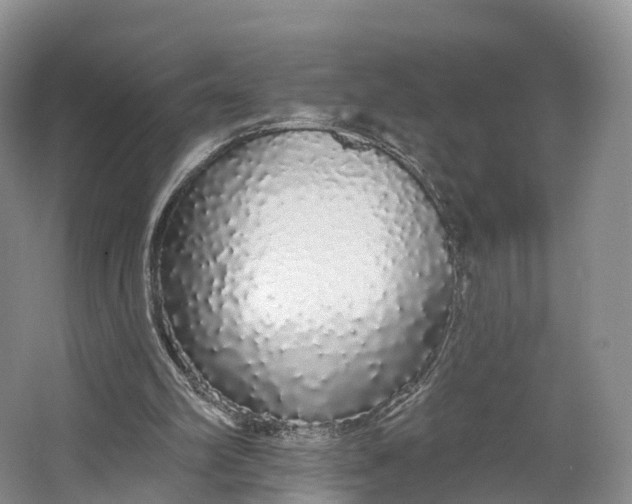 X0000064720102200602241655