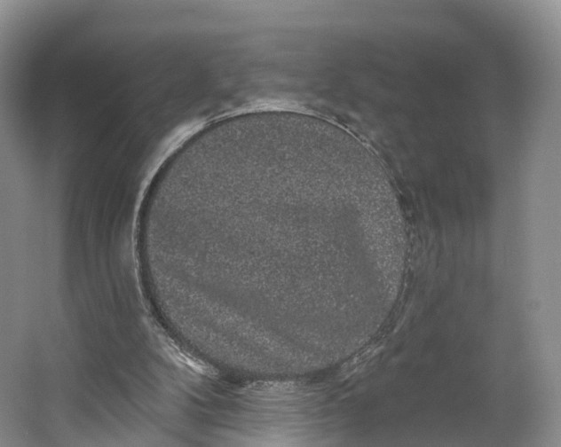 X0000064720104200602241655