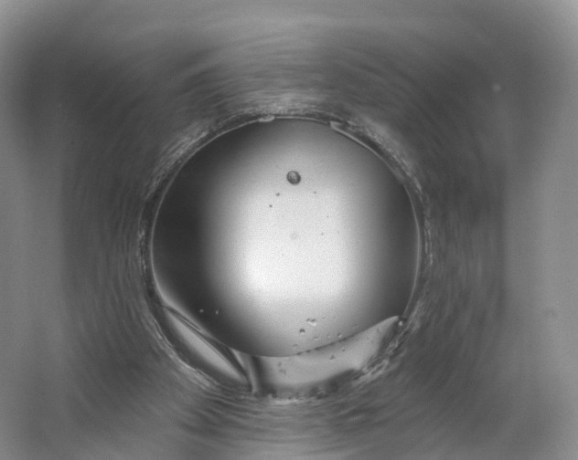 X0000064720105200602241655