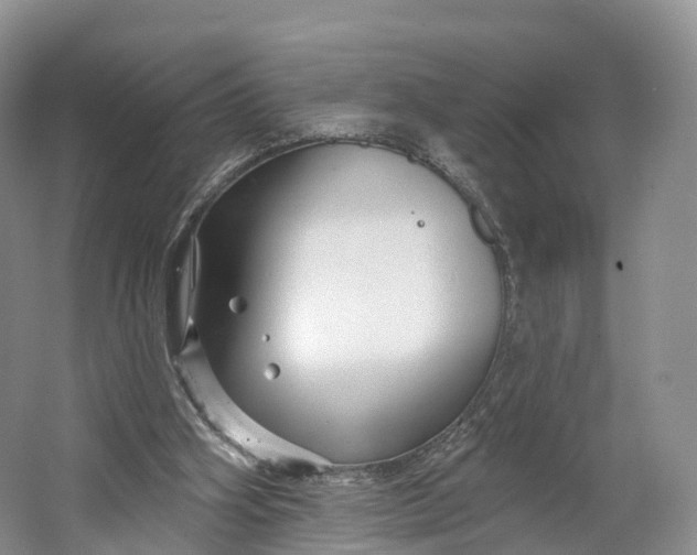 X0000064720106200602241655