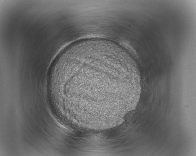 X0000064720108200602241655