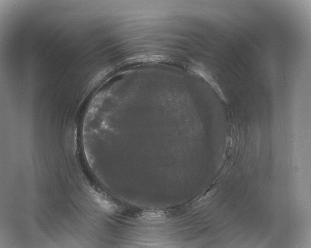 X0000064720110200602241655