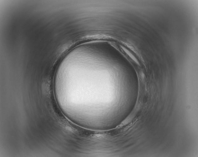 X0000064720111200602241654