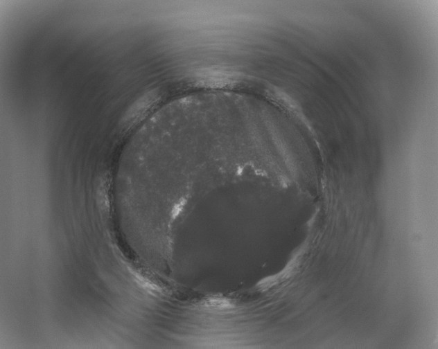 X0000064720114200602241654