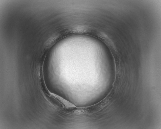 X0000064720115200602241654