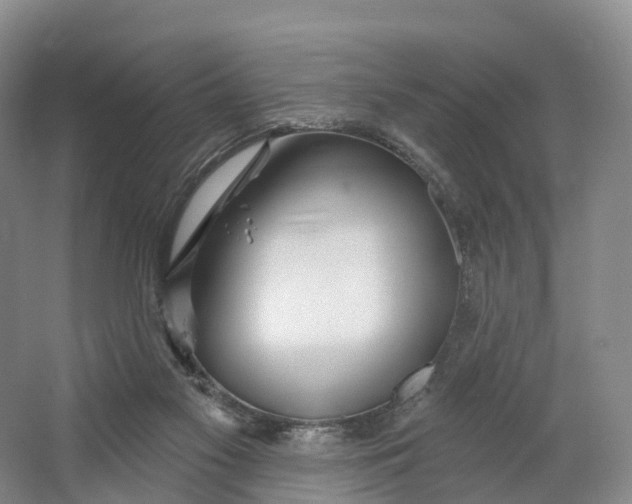 X0000064720117200602241654