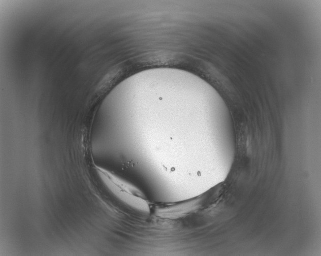 X0000064720119200602241654