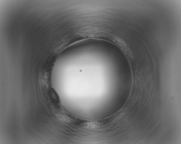 X0000064720121200602241654