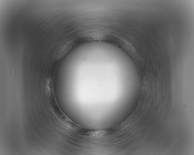 X0000064720122200602241654